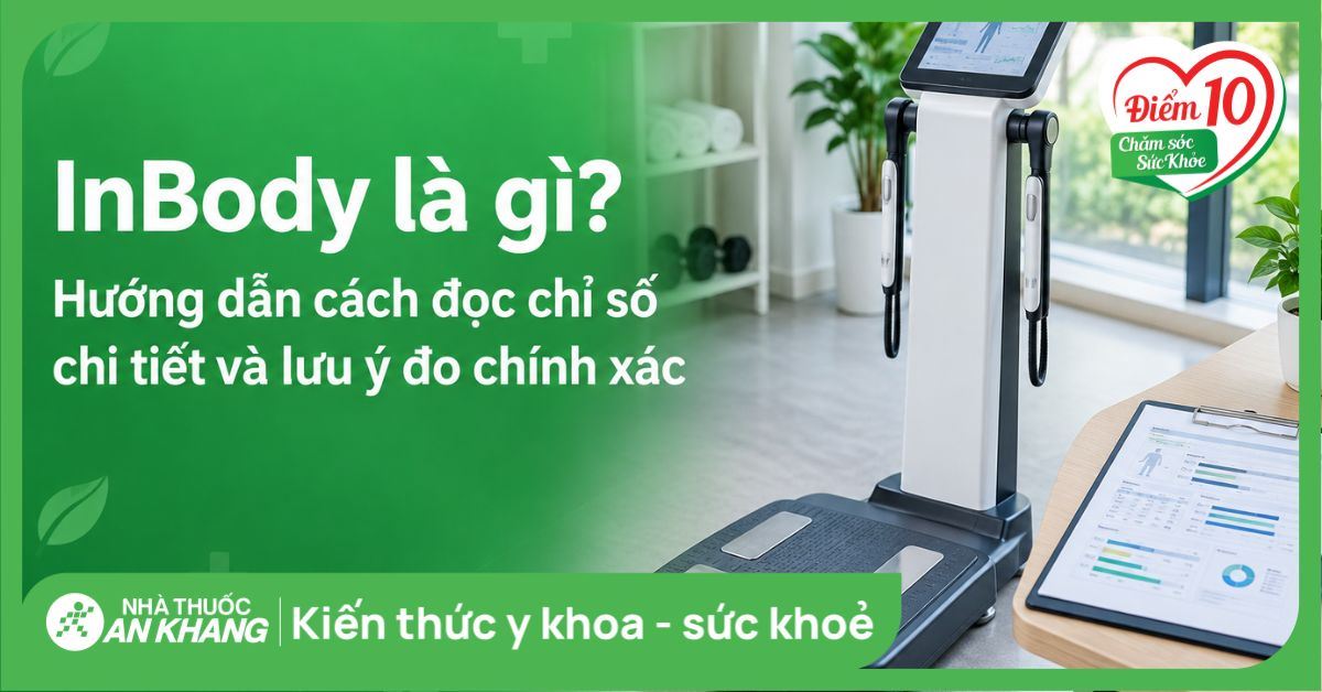 InBody là gì? Hướng dẫn cách đọc chỉ số chi tiết và lưu ý đo chính xác