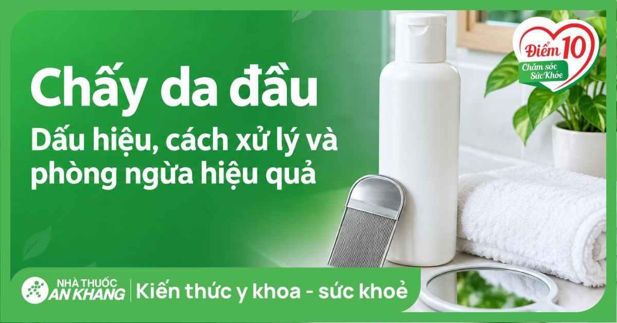 Chấy da đầu: Dấu hiệu, cách xử lý và phòng ngừa hiệu quả