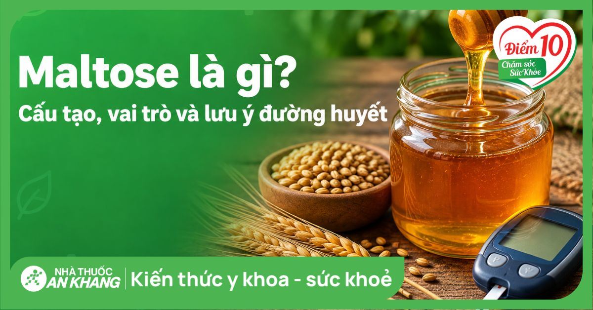 Maltose là gì? Cấu tạo, vai trò và lưu ý đường huyết
