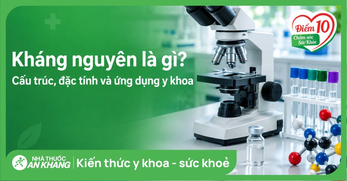 Kháng nguyên là gì? Cấu trúc, đặc tính và ứng dụng y khoa