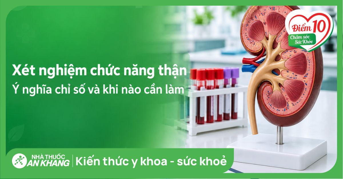 Xét nghiệm chức năng thận: Ý nghĩa chỉ số và khi nào cần làm