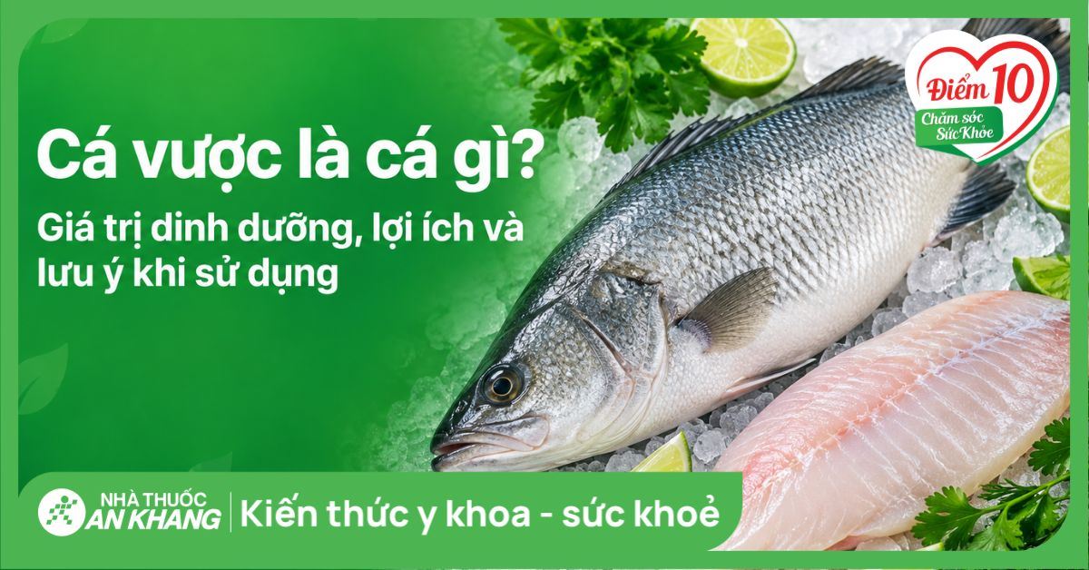 Cá vược là cá gì? Giá trị dinh dưỡng, lợi ích và lưu ý khi sử dụng