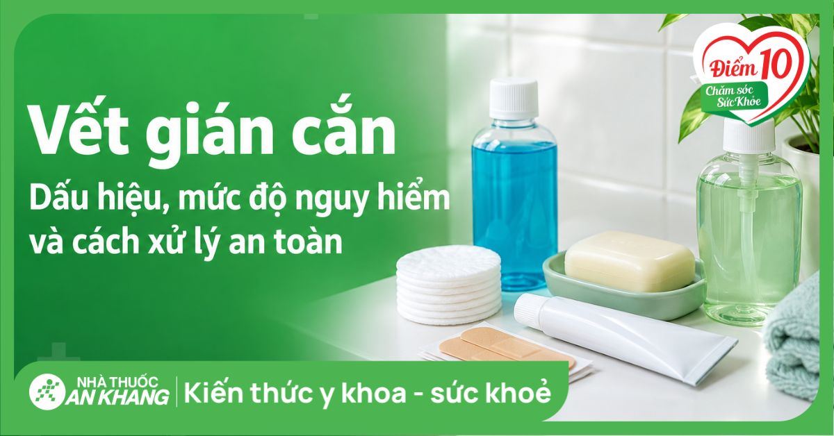 Vết gián cắn: Dấu hiệu, mức độ nguy hiểm và cách xử lý an toàn