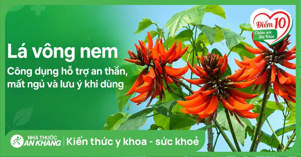 Lá vông nem: Công dụng hỗ trợ an thần, mất ngủ và lưu ý khi dùng