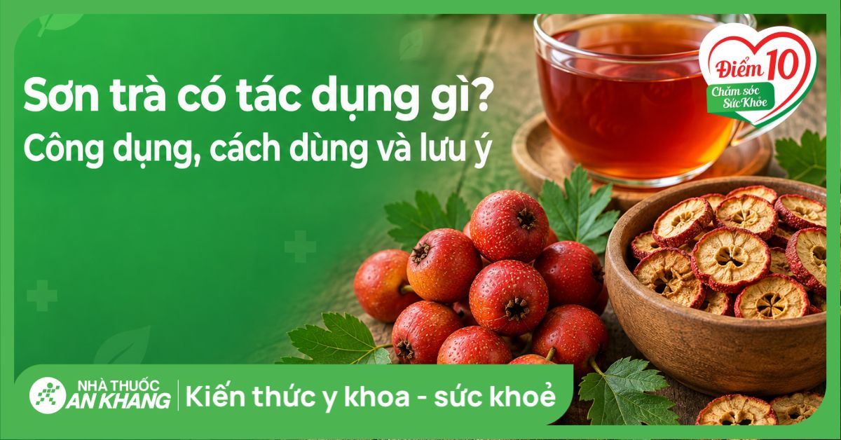 Sơn trà có tác dụng gì? Công dụng, cách dùng và lưu ý