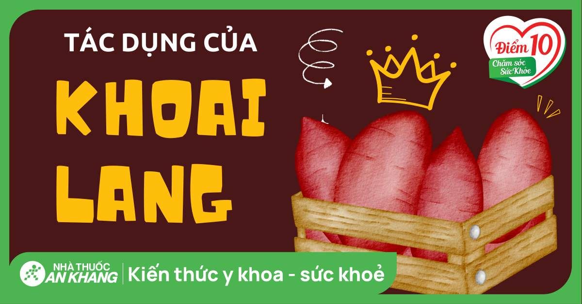 Ăn khoai lang có tác dụng gì? 17 công dụng và lưu ý khi ăn