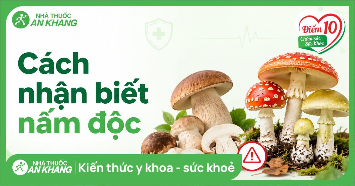 Cách nhận biết nấm độc và lưu ý để tránh ngộ độc bạn nên biết