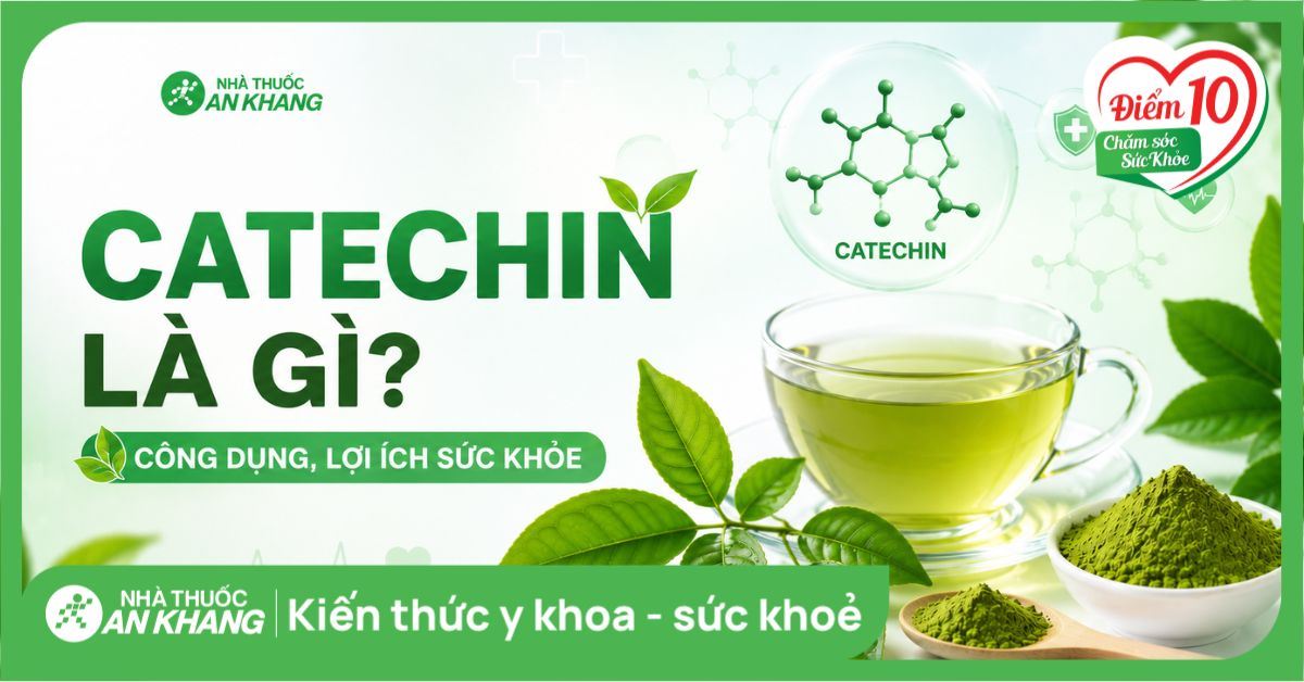 Catechin là gì? Công dụng, lợi ích sức khỏe và cách bổ sung an toàn
