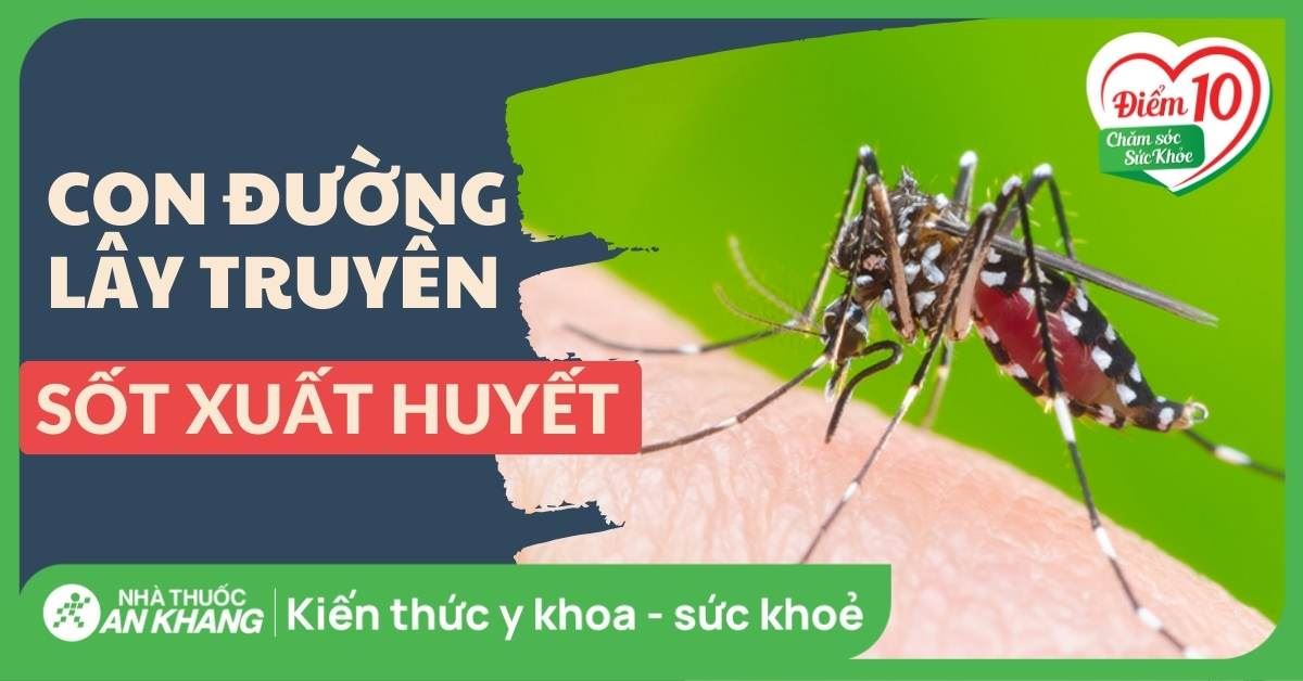 Sốt xuất huyết có lây không? Các con đường lây truyền sốt xuất huyết
