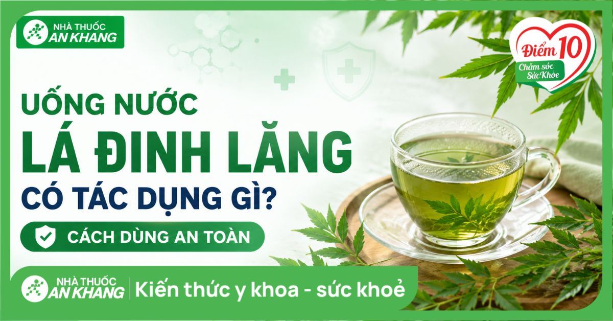 Uống nước lá đinh lăng có tác dụng gì? Cách dùng an toàn