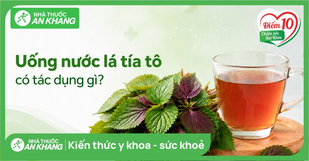 Uống nước lá tía tô có tác dụng gì? Cách uống an toàn bạn cần lưu ý