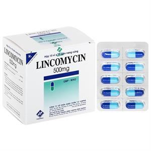 Lincomycin Vidipha 500mg trị nhiễm khuẩn nặng