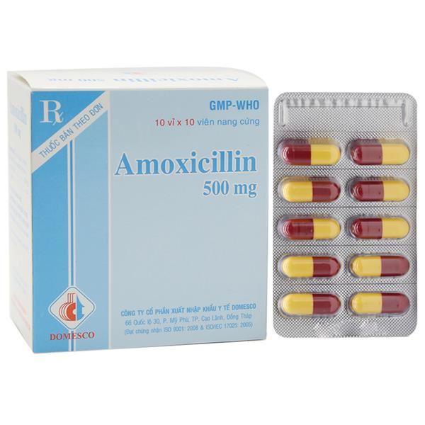 Amoxicillin Domesco 500mg trị nhiễm khuẩn