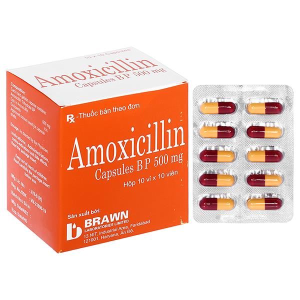 Amoxicillin Capsules BP 500mg trị nhiễm khuẩn