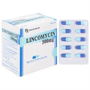 Lincomycin Enlie 500mg trị nhiễm khuẩn