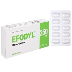 Efodyl 250mg điều trị nhiễm khuẩn
