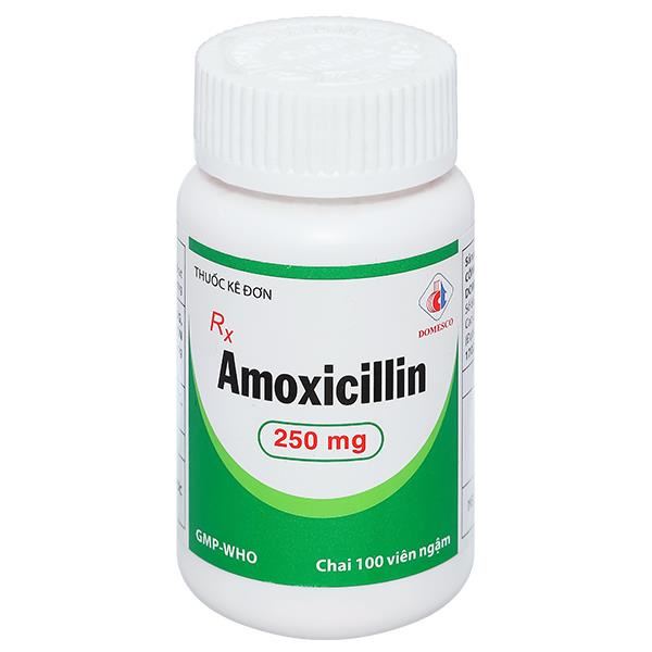 Viên ngậm Amoxicillin Domesco 250mg trị các trường hợp nhiễm trùng