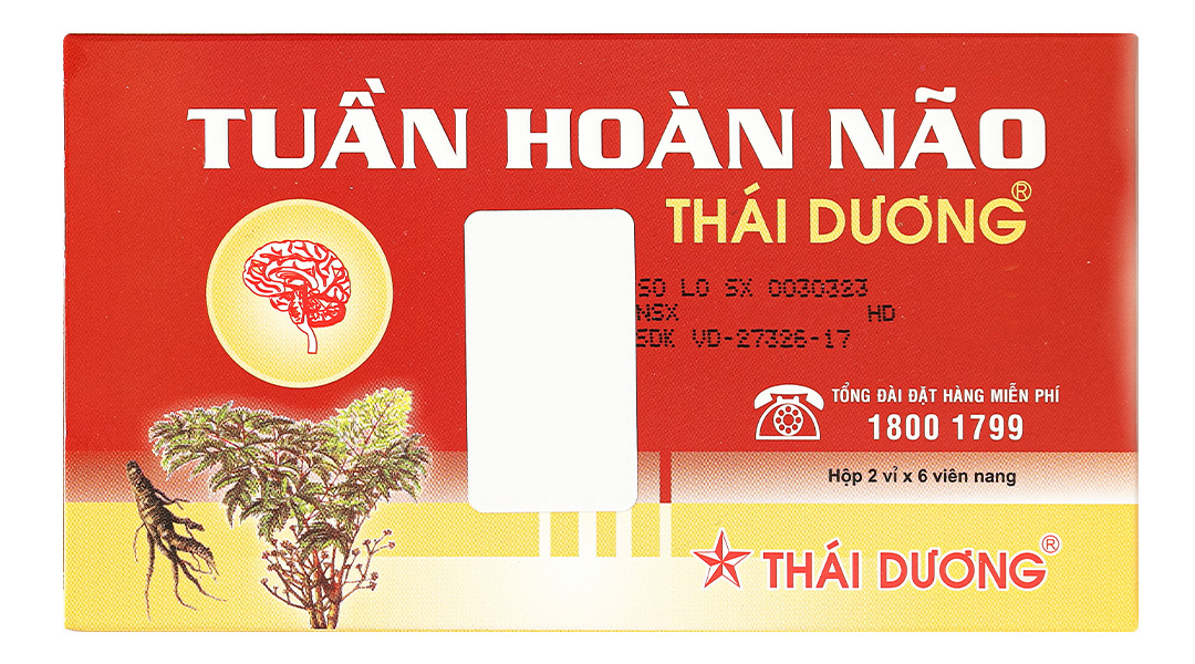 Tuần Hoàn Não Thái Dương hỗ trợ điều trị thiểu năng tuần hoàn não