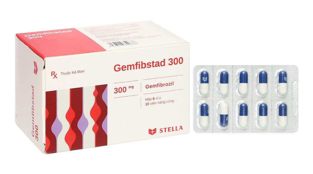 Gemfibstad 300 điều trị tăng lipid huyết