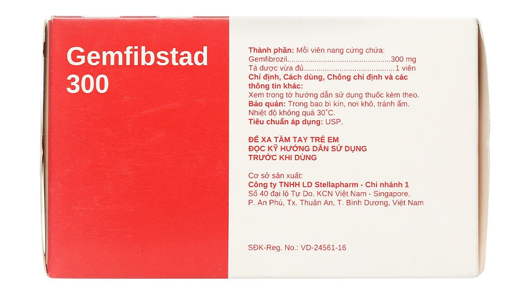 Gemfibstad 300 điều trị tăng lipid huyết