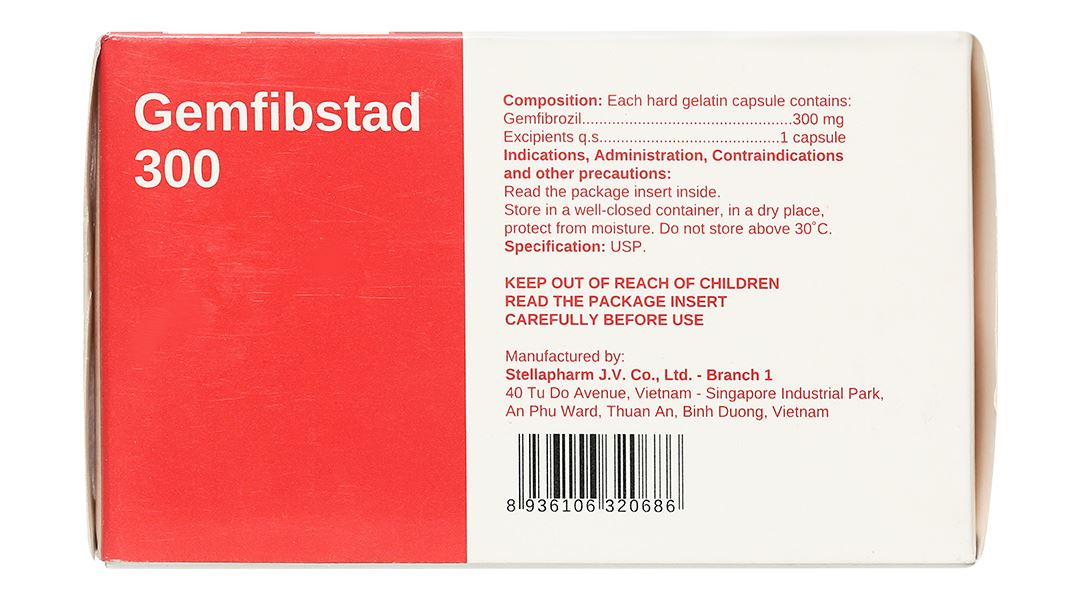 Gemfibstad 300 điều trị tăng lipid huyết