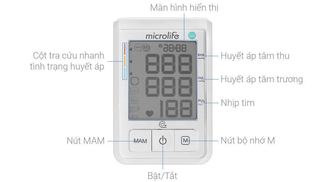 Máy đo huyết áp bắp tay Microlife B3 Basic