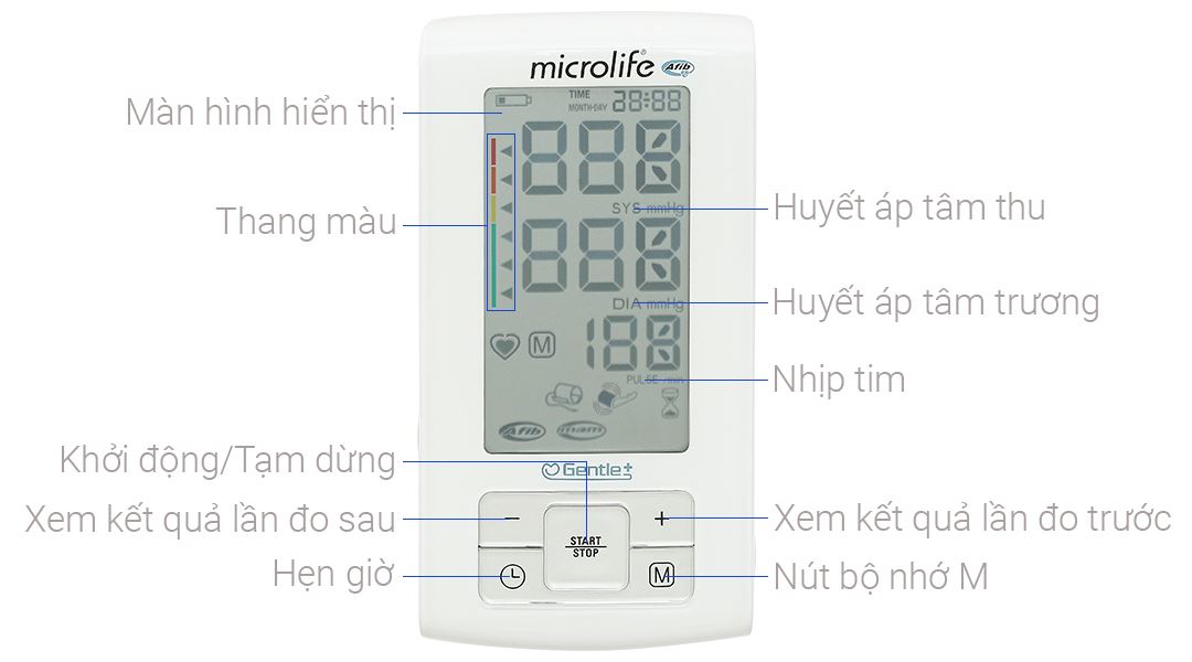 Máy đo huyết áp bắp tay Microlife A6 Basic