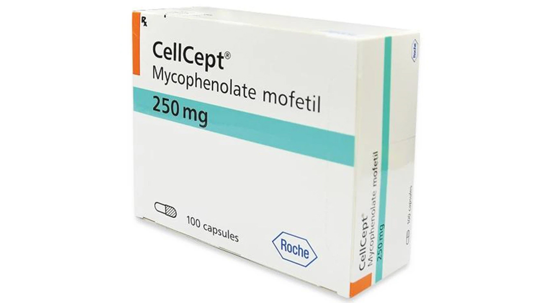 Cellcept 250mg dự phòng thải ghép cấp tính, điều trị thải ghép lần đầu