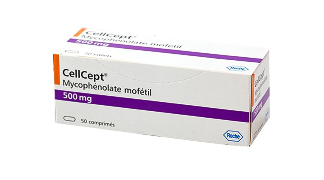 Cellcept 500mg dự phòng thải ghép cấp tính, điều trị thải ghép lần đầu