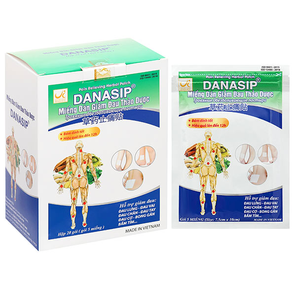 Miếng dán giảm đau thảo dược Danasip (20 gói x 5 miếng)