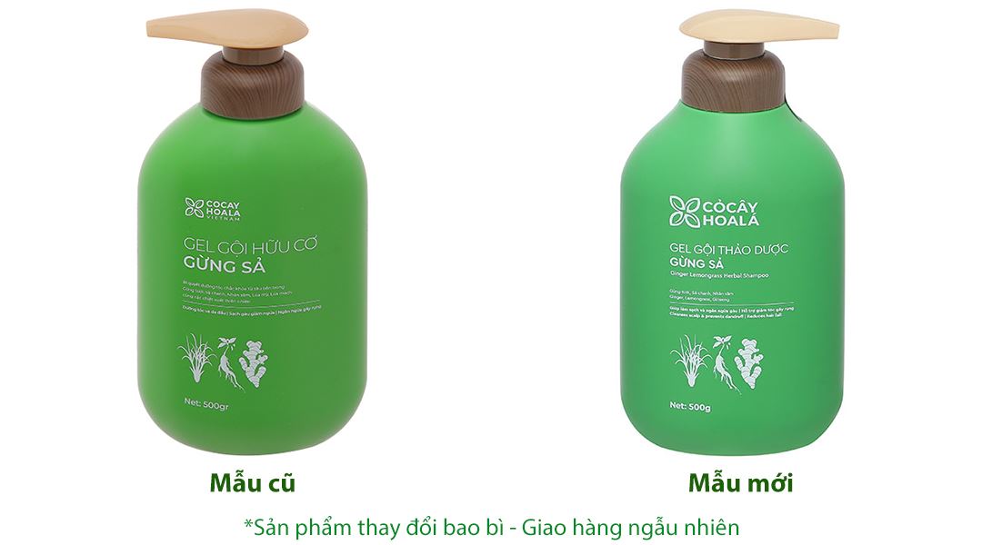 Gel gội hữu cơ Gừng Sả Cocay Hoala ngăn dầu, dưỡng ẩm