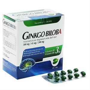 Ginkgo Biloba Mgo,B1,B6 hộp 100 viên