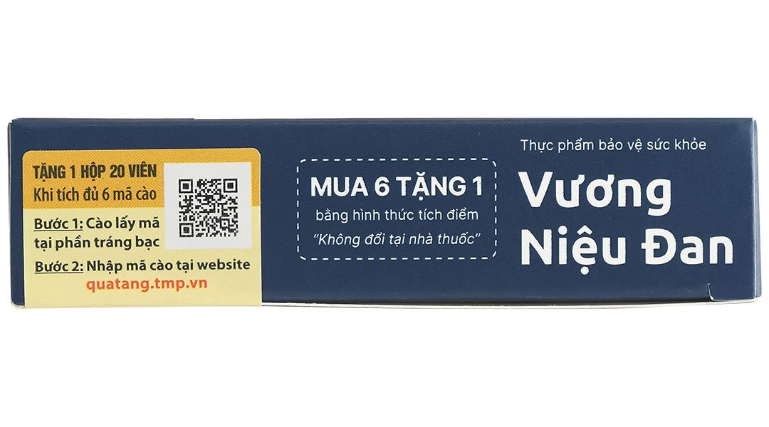 Thực phẩm bảo vệ sức khoẻ: Vương Niệu Đan - 19