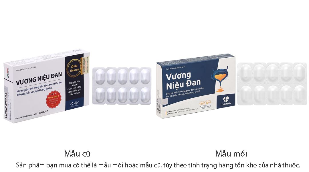 Thực phẩm bảo vệ sức khoẻ: Vương Niệu Đan - 14