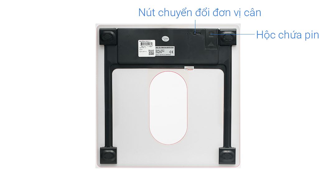 Cân điện tử đo chỉ số cơ thể Camry EF971(S36)