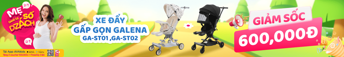 Xe Đẩy Cho Bé Galena 2 Chiều Gấp Gọn, Cao Cấp, Chính Hãng 05/2025 - Avakids.com