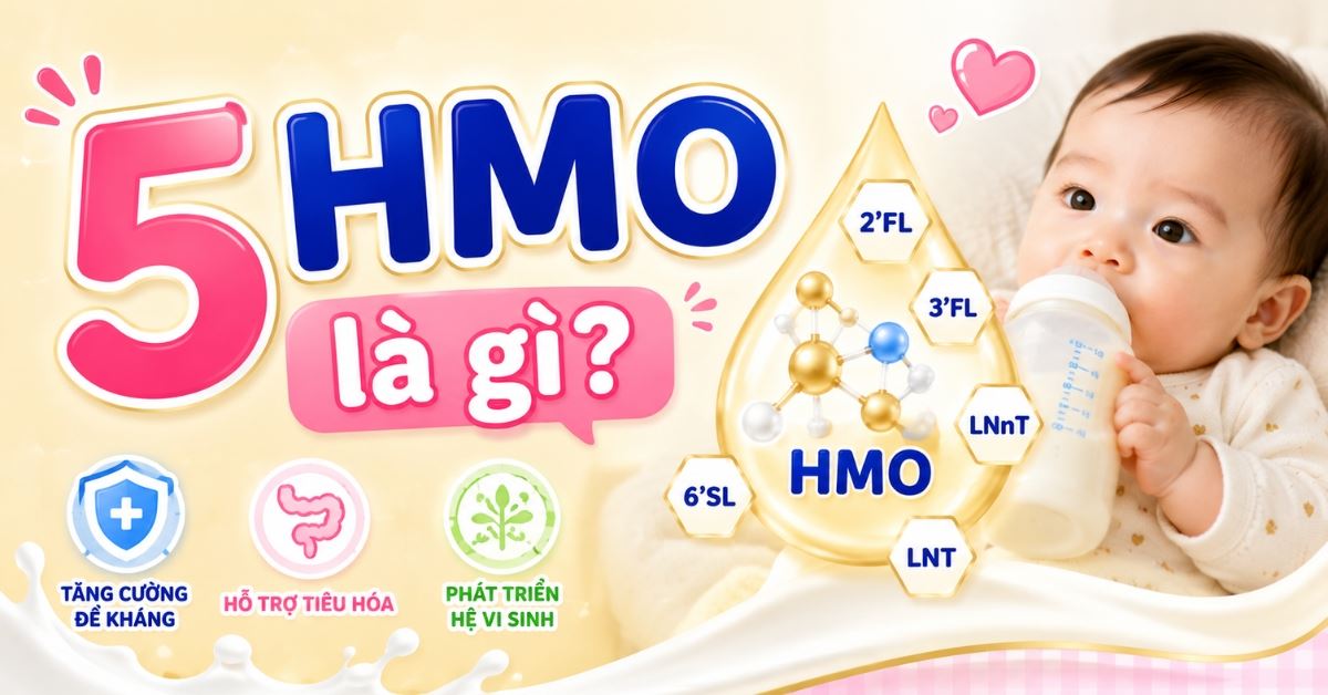 5 HMO là gì? Giải mã bí ẩn về dưỡng chất vàng cho hệ miễn dịch của trẻ