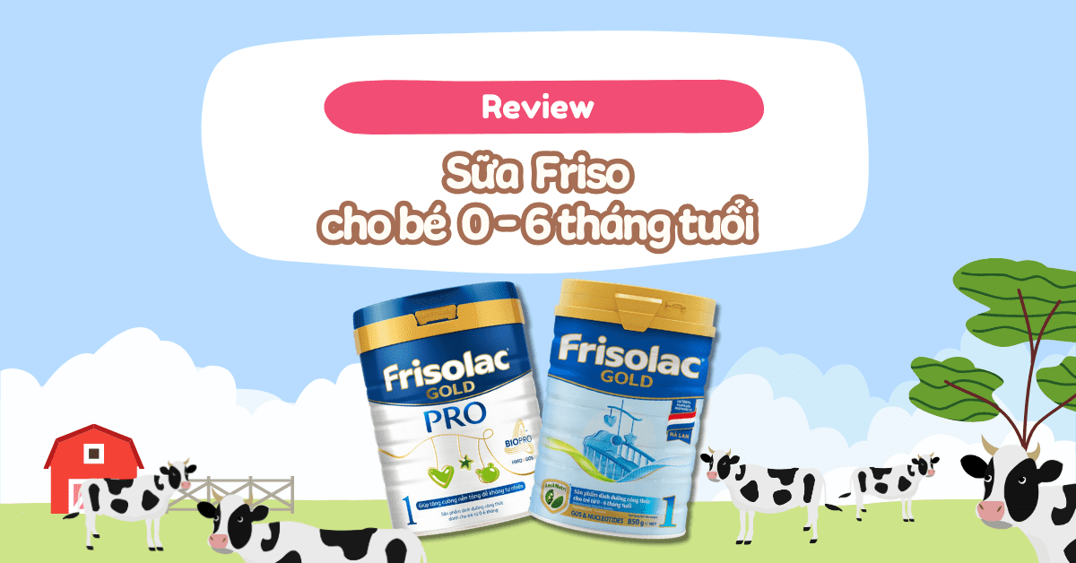 Review chất lượng sữa Friso dành cho trẻ sơ sinh từ 0 - 6 tháng tuổi