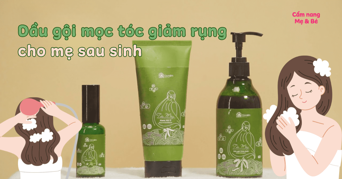 Top 10 dầu gội trị rụng tóc cho mẹ sau sinh hiệu quả, kích thích mọc tóc tốt nhất hiện nay