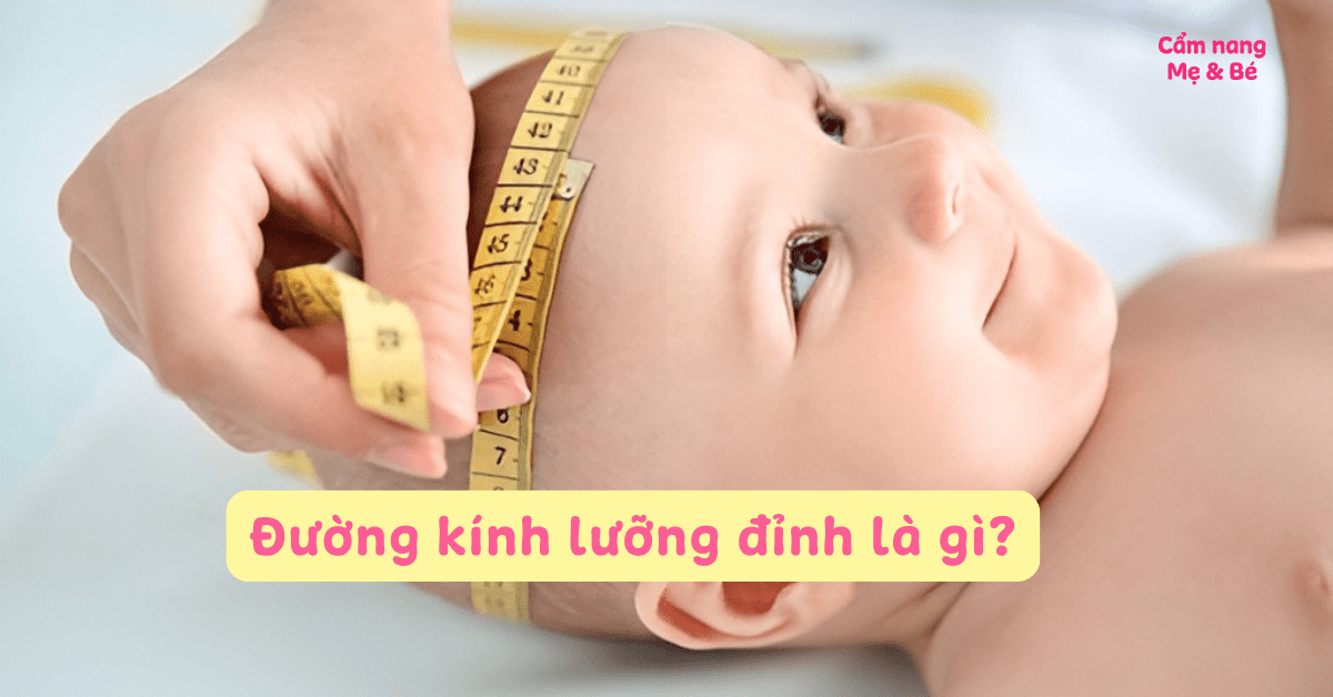 Đường kính lưỡng đỉnh là gì? Chỉ số đường kính lưỡng đỉnh theo tuần thai chuẩn WHO