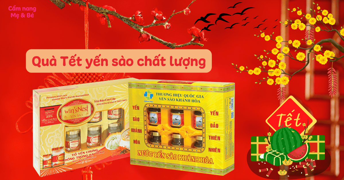 Top 7 quà tết yến sào tặng người thân, bạn bè Xuân 2025