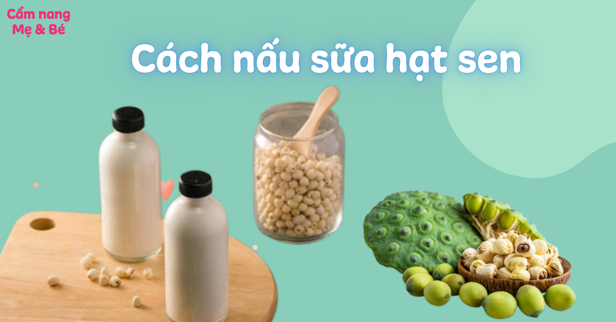 10 cách nấu sữa hạt sen thơm ngon bổ dưỡng cho mẹ và bé cực kỳ đơn giản