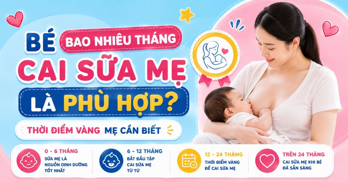 Khi nào nên cai sữa cho bé? Mách mẹ cách cai sữa an toàn hiệu quả cho trẻ