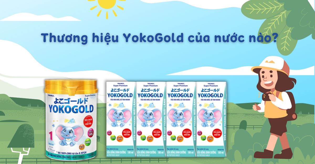 Thương hiệu YokoGold của nước nào? Có những sản phẩm nào? Có tốt không?