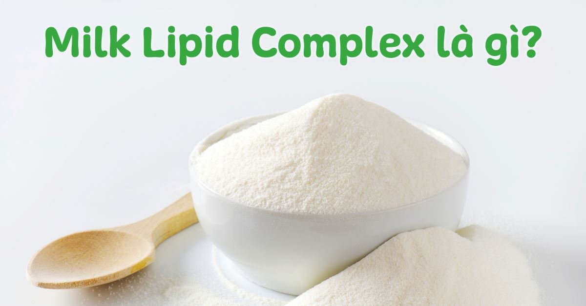 Milk Lipid Complex là gì? Sữa bột có chứa MLC có tác dụng gì? Có tốt không?