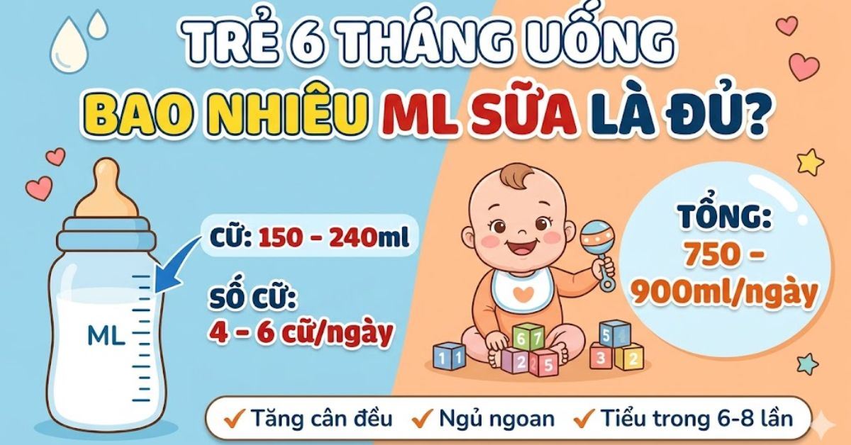 Trẻ 6 tháng uống bao nhiêu ml sữa là đủ? Bảng theo cữ, theo ngày và lịch bú khoa học