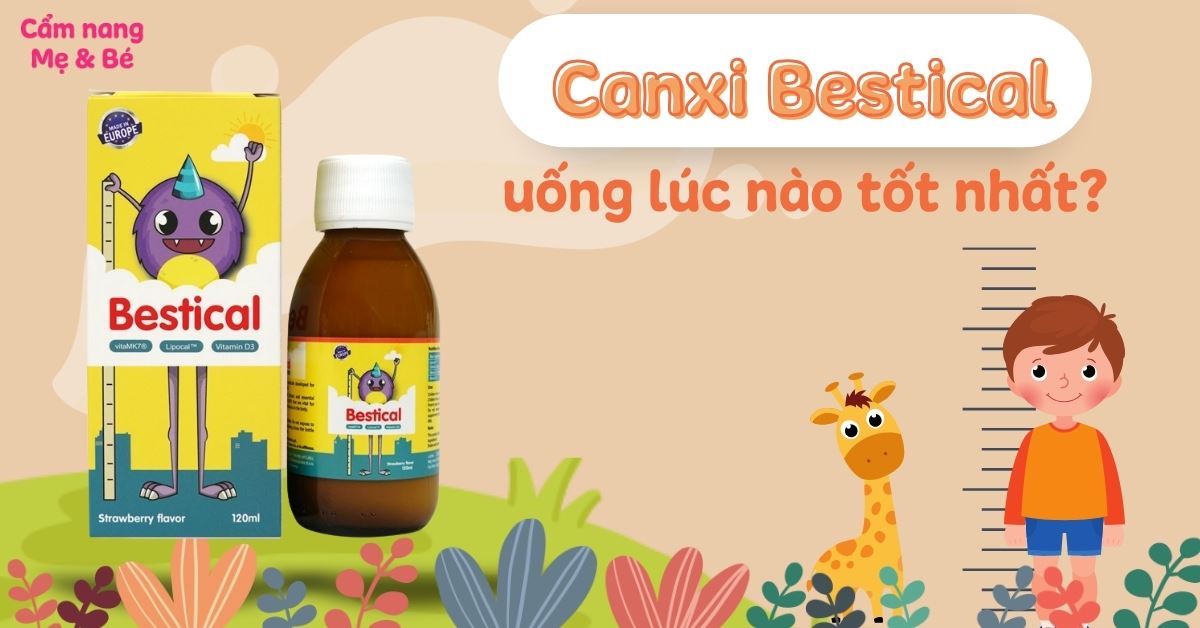Canxi Bestical uống lúc nào tốt nhất? Cách dùng đúng để hấp thu tối đa