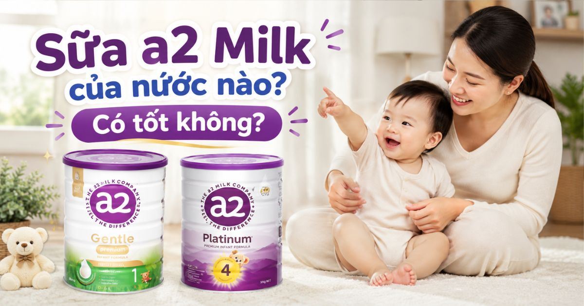 Sữa a2 Milk của nưỡc nào? Có tốt không? Có nên mua không? Review chi tiết A-Z