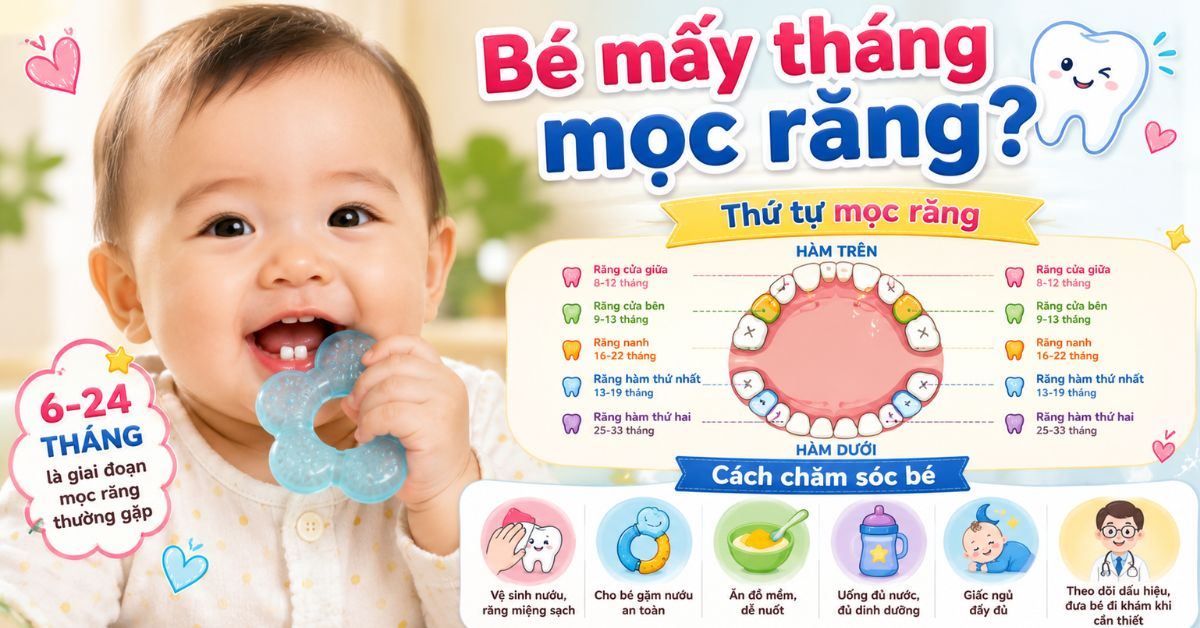 Bé mấy tháng mọc răng? Dấu hiệu, thứ tự mọc răng và cách chăm sóc bé