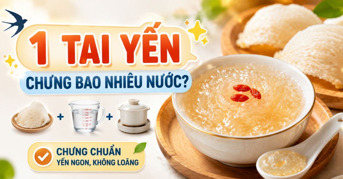 1 tai yến chưng bao nhiêu nước? Cách chưng chuẩn để yến ngon, không loãng